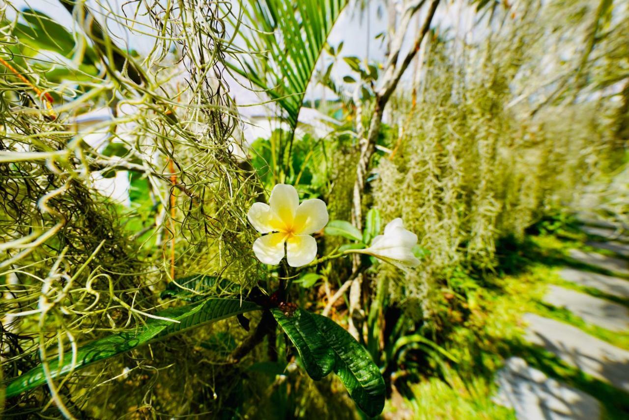 Nacpan Beach Glamping Managed By H Hospitality Group El Nido Eksteriør billede